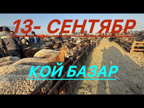 Видео: Кой базар сокулук мал базары 13/09/25