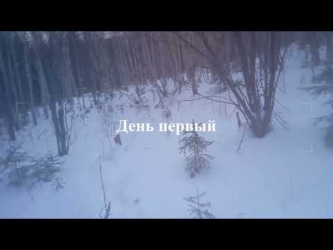 Видео: Промысловая охота. Ноябрь 2023 г.