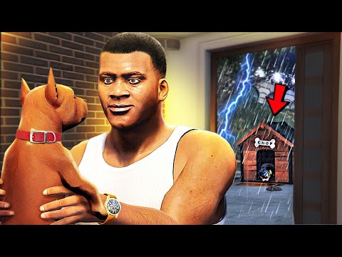 Видео: ФРАНКЛИН ЖАҢА ИТ АСЫРАП АЛДЫ | ЧОП КЕТІП ҚАЛДЫ МА? (GTA V)