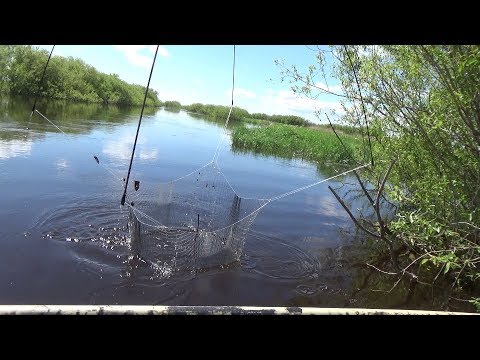 Видео: Рыбалка на паук. Рыбалка на подъёмник. По болотам, рекам и озерам в поисках рыбы.