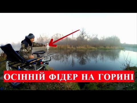 Видео: Осіння фідерна ловля ляща і підляща! Як і на що ловити на р. Горинь!