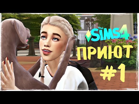 Видео: НОВАЯ ЖИЗНЬ ПИТОМЦЕВ - ПРИЮТ - the Sims 4