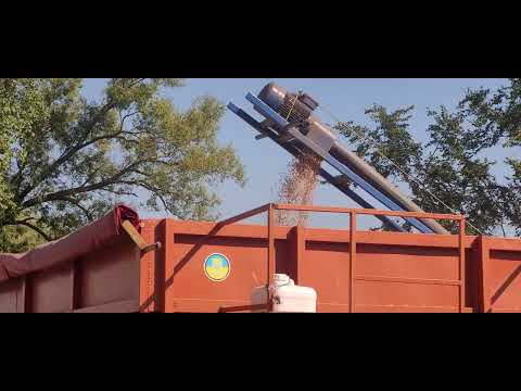 Видео: Гнучкий шнек ГШ-90 в роботі.