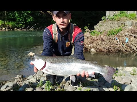 Видео: Всю весну лето 2023 г  бешеный клёв ФОРЕЛИ реке Кинтриши и на море на блесну КОБУЛЕТИ