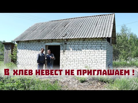Видео: Хозяева мы - справные , но с невестами пока - загвоздка!..