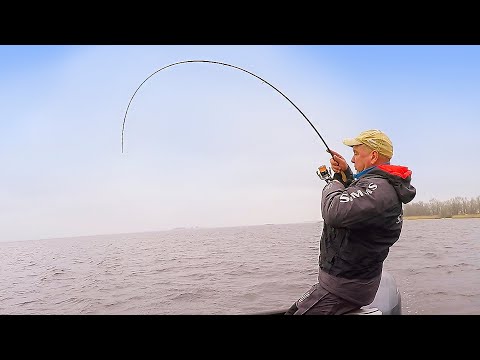 Видео: СЕКРЕТ РЫБАЛКИ НА ДРОП-ШОТ!!! КАК В БЕЗКЛЁВЬЕ ЗАСТАВИТЬ ПАССИВНОГО ХИЩНИКА!