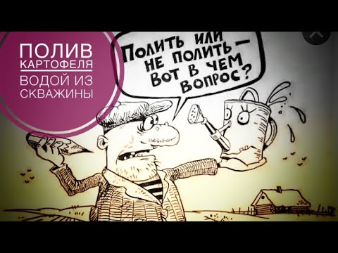 Видео: Полив картофеля из скважины