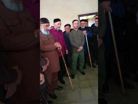 Видео: Хамаев 1ела велчахь тоьшалш деш