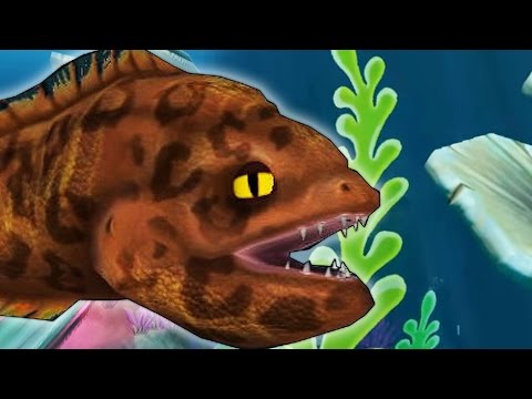 Видео: РЫБИЙ ЧЕЛЛЕНДЖ! УГОРЬ - МАСТЕР НЕВИДИМОСТИ! ХИЩНИК ГЛУБИН! FEED AND GROW FISH