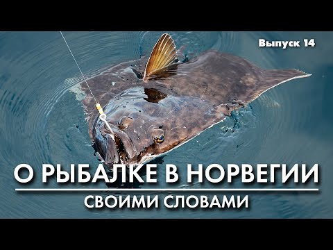 Видео: Рыбалка в Норвегии. Ловля на мертвую рыбку