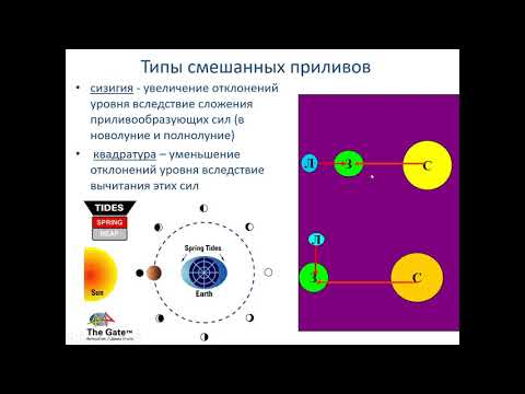 Видео: Добролюбов С. А. - Гидрология - 19. Динамика океанов
