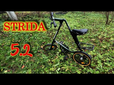 Видео: Купил - StridУ) Мой новый странный друг, а может и странный Я... в любом случае, это мЕгАкруто ..😉