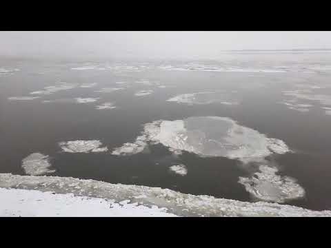 Видео: Первые большие льдины на Амуре, 9 ноября 2025 г.