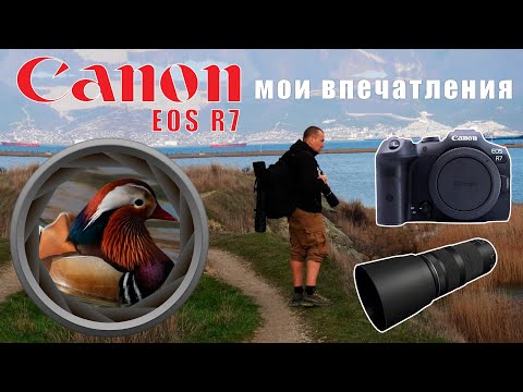 Видео: Canon Eos R7 - мои впечатления. Фотоаппарат для фотоохоты.