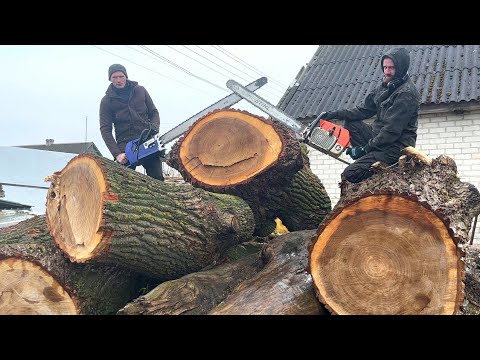 Видео: Поставьте Дизлайк и Отпишитесь, если пожалеете, что досмотрели до конца