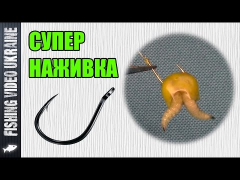 Видео: Супер наживка! - Кукуруза фаршированная опарышем | 1080p