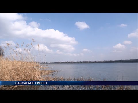 Видео: Река Саксагань гибнет