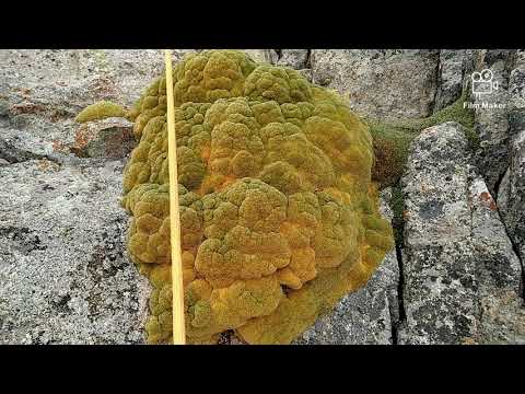 Видео: Бокс 3Б. Видео гид