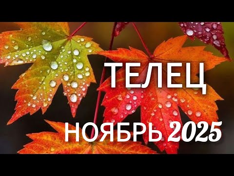 Видео: 🔴ТЕЛЕЦ ♉️ НОЯБРЬ 2025🔥ТАРО ПРОГНОЗ/ГОРОСКОП от ANOLI PPEL