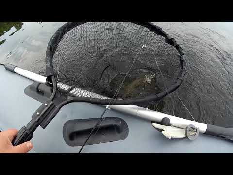 Видео: Рыбалка в непогоду. Лещ балдеет от этого Аромата. Ловля леща летом. Рыбалка на реке Волга 2018