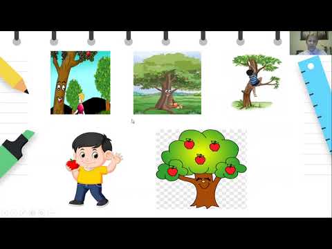 Видео: 4 до 6 години - Наука - Запознавање и разбирање на околината - ДОБРОТО  ДАРЕЖЛИВО ДРВО