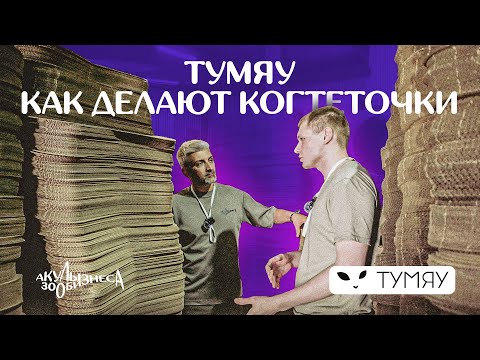 Видео: Тумяу. Когтеточки из Питера, о которых все говорят / Акулы Зообизнеса