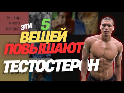 Видео: Эти 5 Привычек ПОВЫШАЮТ Тестостерон (Научный Тир Лист)