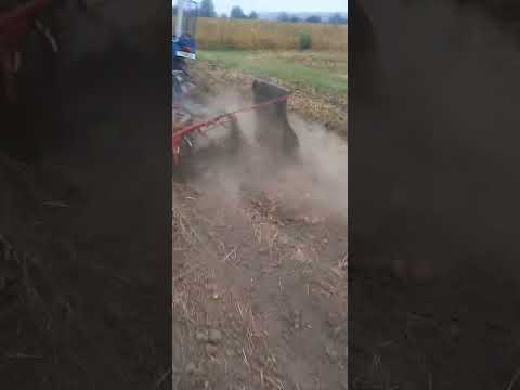 Видео: Копка картоплі#картоплекопалка кінна