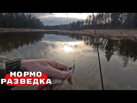 Видео: ПЛОТВА КЛЮЕТ - ФРИКЦИОН ПОЕТ! МОРМЫШИНГ ВЕСНОЙ 2025