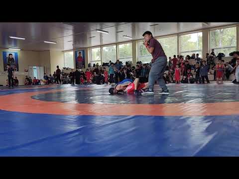 Видео: Казакбаев Бекмат 32 кг 1.4ф Орто-Арык балбаны