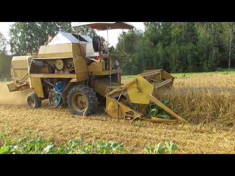 Видео: Зерновой комбайн Сампо Sampo Rosenlew 500 убирает огород.