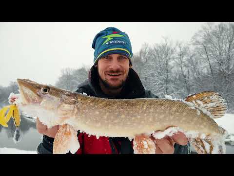 Видео: Джиг риг снова удивил, приманка творит чудеса. Открытие сезона 2022 на спиннинг [Пора ловить щуку]