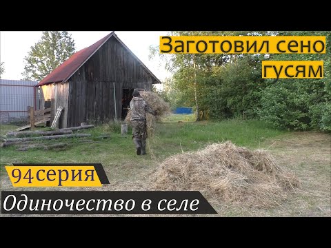 Видео: Субботний день в деревне. Одиночество в селе, серия 94