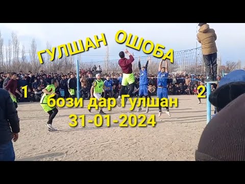 Видео: волейбол ашт ГУЛШАН & ОШОБА полуфинал бози дар Гулшан 31-01-2024