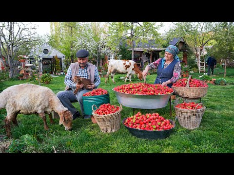 Видео: 🍓 Свежие Клубничные Булочки | Насыщенный Вкус Свежих Ягод
