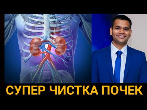 Видео: СУПЕР ЧИСТКА ПОЧЕК | ЧИСТИМ ПОЧКИ, ЛЕГКО И ПРОСТО