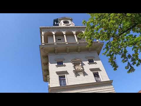 Видео: 1  419.@олегГаврисюк24.102025