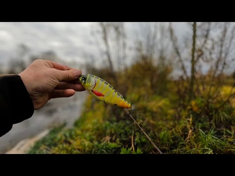 Видео: РЫБАЛКА С БЕРЕГА.МАЛАЯ РЕКА.ДЖЕРК БЕЙТЫ.ЧТО ПРОИСХОДИТ С РЫБОЙ,НЕ ПОНИМАЮ.