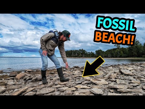 Видео: Мы обнаружили древние сокровища, спрятанные на этом скалистом пляже Мичигана!
