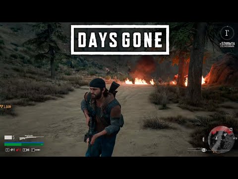 Видео: ЖЕСТКАЯ: ЗАЧИСТКА, ЗАРУБА И ЮНА Days Gone #12