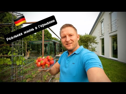 Видео: Моя жизнь в немецкой деревне / Уход за малиной / Как избавиться от слизней / Ремонт буса Opel Movano