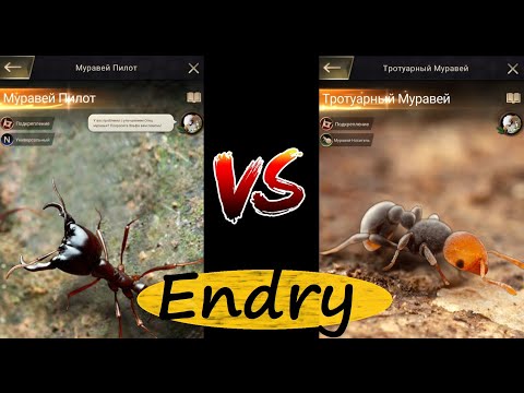 Видео: the ants underground kingdom — сравнение Пилота и Тротуарного муравья