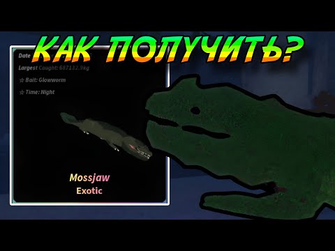 Видео: ОХОТА НА НОВОГО МОНСТРА *ПОТЕРЯННЫХ ДЖУНГЛЕЙ* В FISCH ROBLOX!