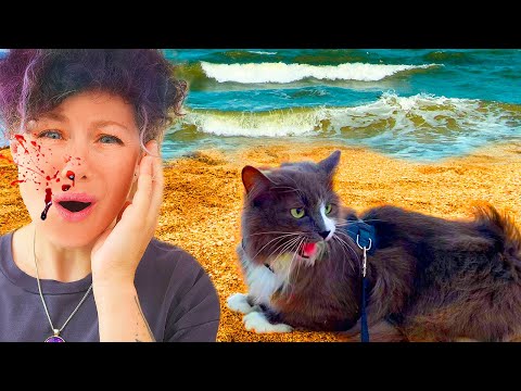 Видео: Исцарапала лицо! Реакция КОШКИ на МОРЕ! Киса Алиса ВПЕРВЫЕ видит море!