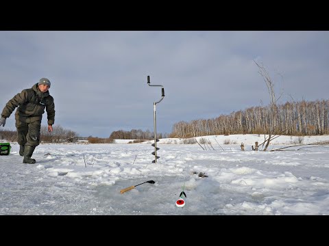 Видео: НАШЁЛ КОРЯЖНИК, ГДЕ КАРАСИ ЗИМУЮТ! Ловля карася зимой на мормышку.