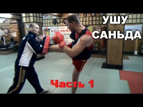 Видео: Ушу Саньда с Михаилом Быковским. Как правильно бить и бросать? Часть 1
