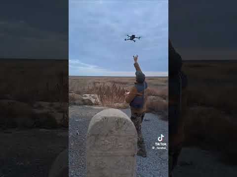 Видео: 1 ноября 2025 г.