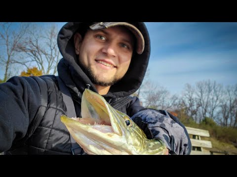 Видео: Осенняя рыбалка на воблеры. Ловлю щуку в пригороде Чикаго. Northern Pike fishing, Chicago area.