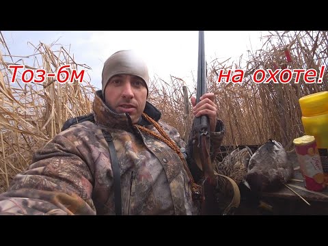 Видео: ТОЗ-63 курковка на утиной охоте себя показала отлично!Трофей и норма взята!Впервые охотился с Тоз-БМ