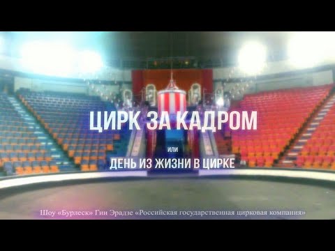 Видео: Цирк за кадром или День из жизни в цирке 2021